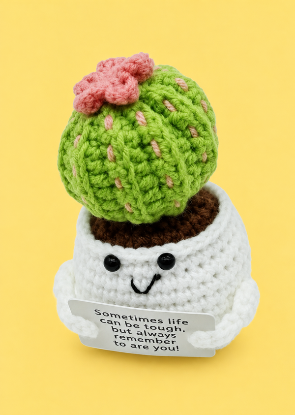 Positive Cactus - Positieve Cactus 11,5cm