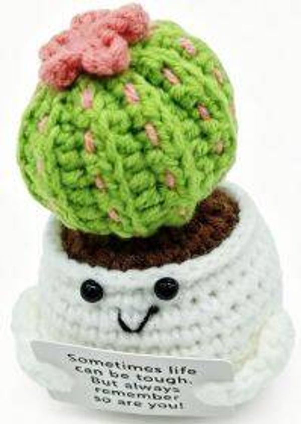 Positive Cactus - Positieve Cactus 11,5cm