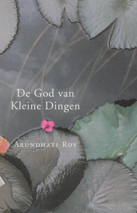 Arundhati Roy-De god van kleine dingen