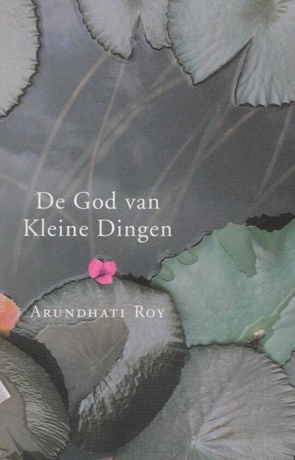 Arundhati Roy-De god van kleine dingen