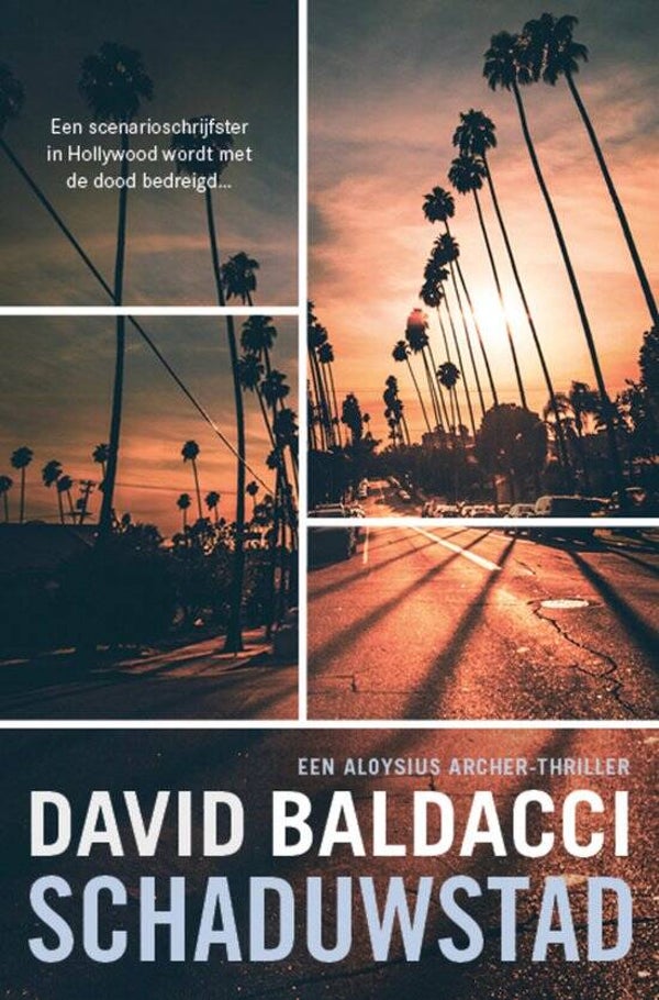David Baldacci-Schaduwstad
