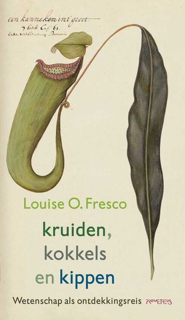 Louise O Fresco-Kruiden,kokels en kippen