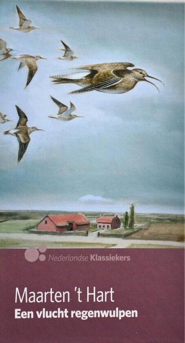 Maarten "T Hart-Een vlucht regenwulpen