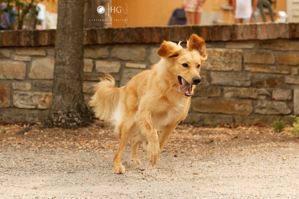 img_4235-cr2_dxo_deepprime-grande.jpeg