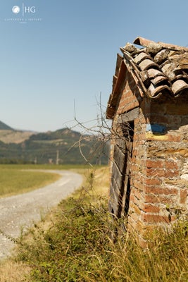 img_5454-cr2_dxo_deepprime-grande.jpeg