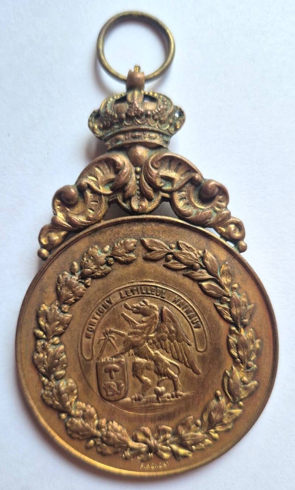 Médaille Artillerie Belgique 1901 Fonson - Montigny-le-Tilleul