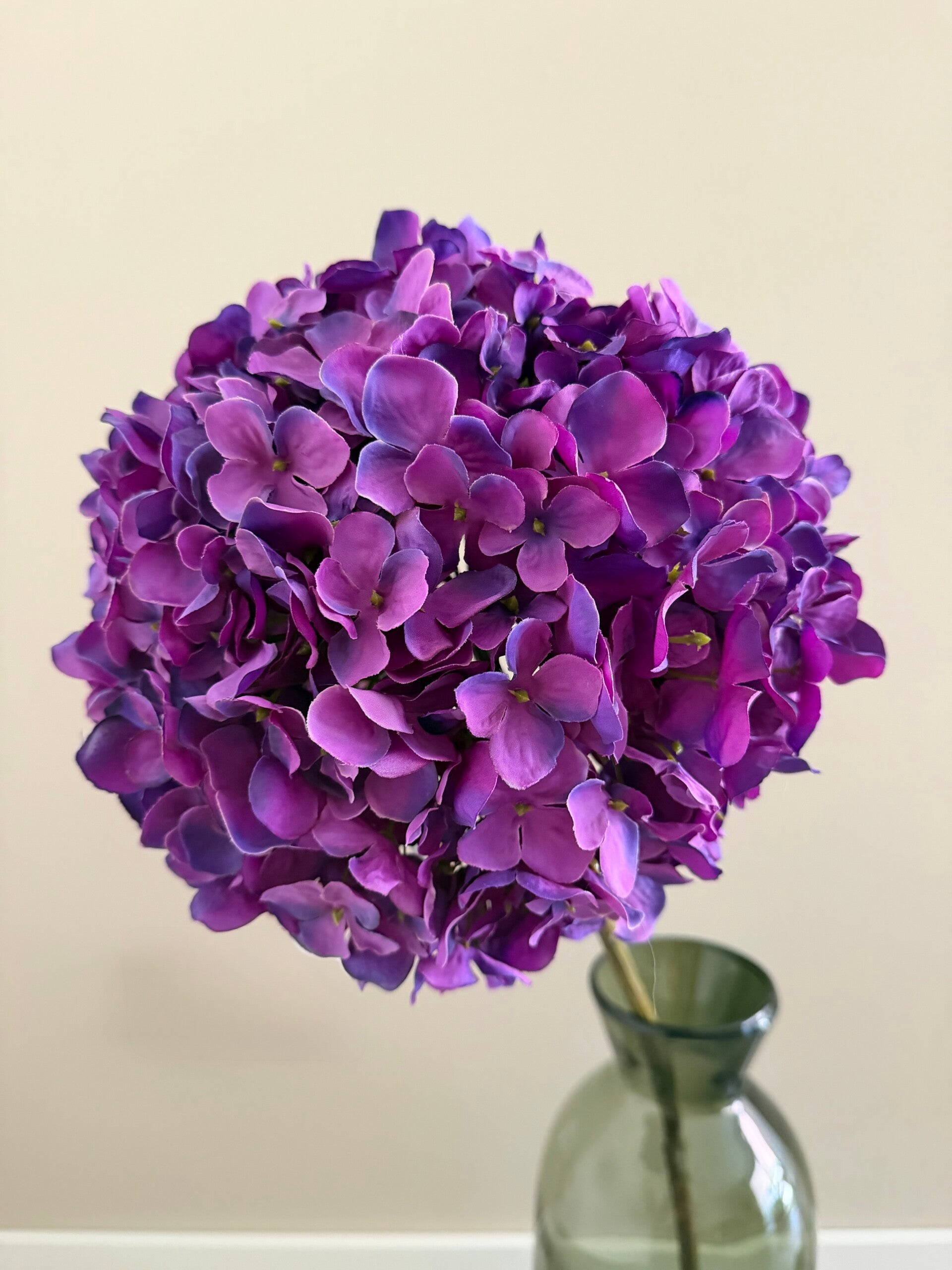Hortensia donker paars