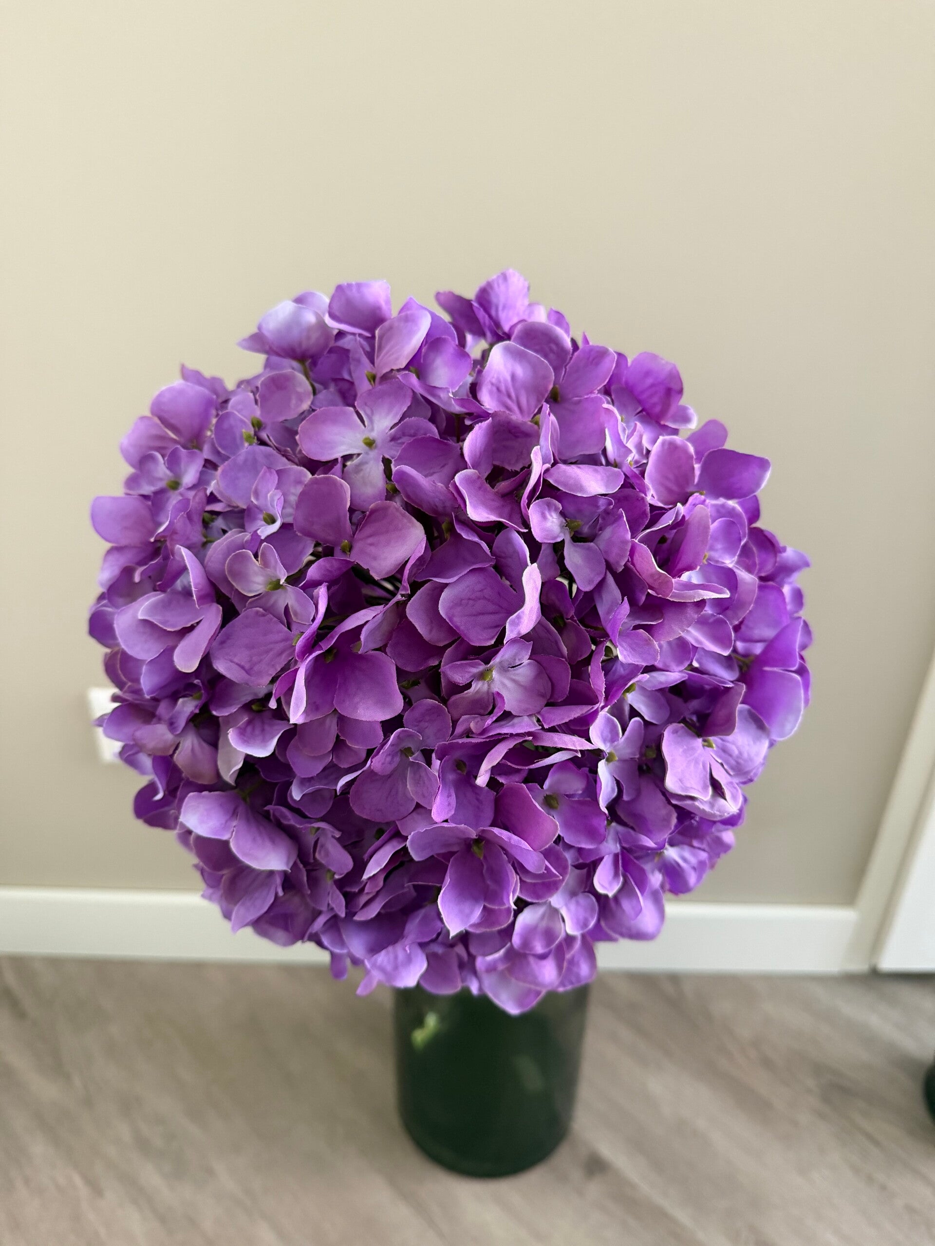 Hortensia lila