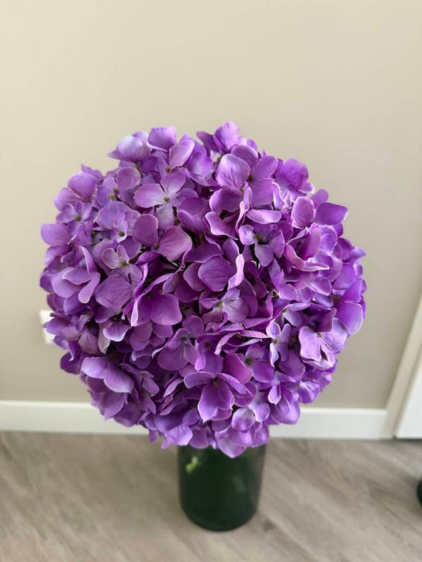 Hortensia lila