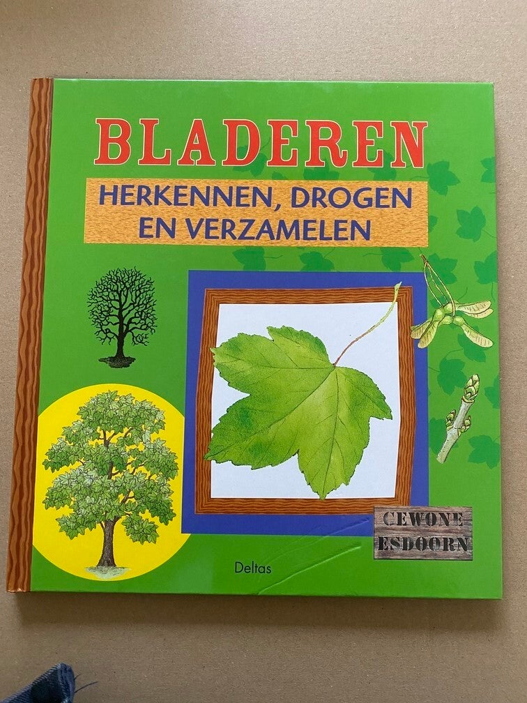 Bomen Informatie - Bladeren Herkennen - Drogen - Verzamelen