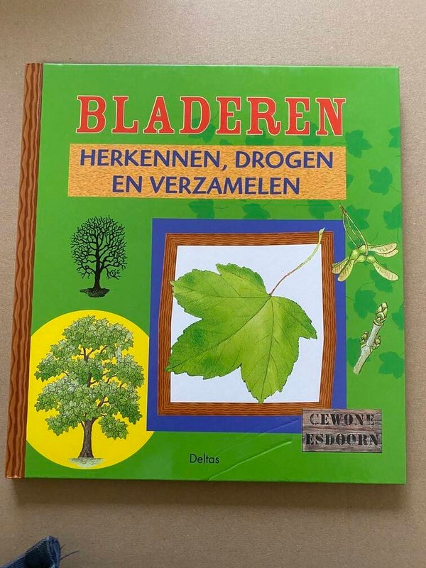 Bomen Informatie - Bladeren Herkennen - Drogen - Verzamelen