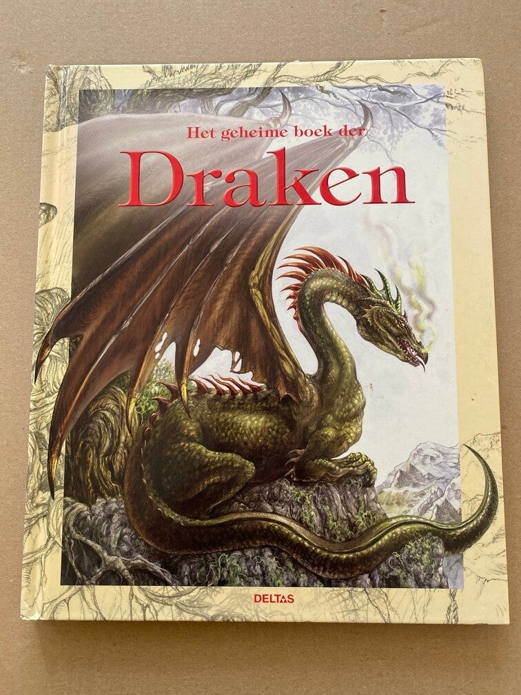 Fantastisch getekend Prentenboek over Draken - NIEUWSTAAT