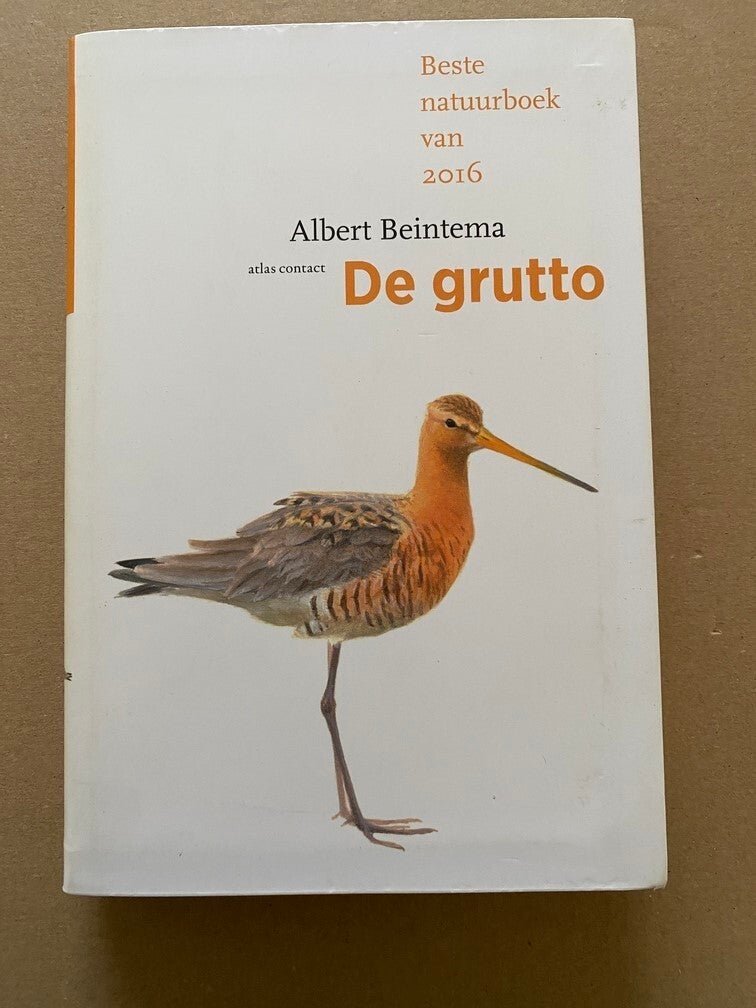 Albert Beintema - Vogelmonografie - De Grutto - NIEUW