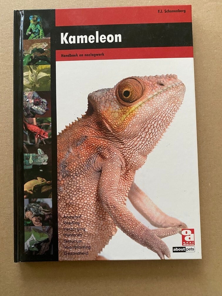 Handboek en Naslagwerk Kameleon - Houden en kweken