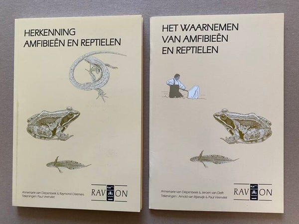 Reptielen en Amfibieën - Herkennen Determineren en Waarnemen