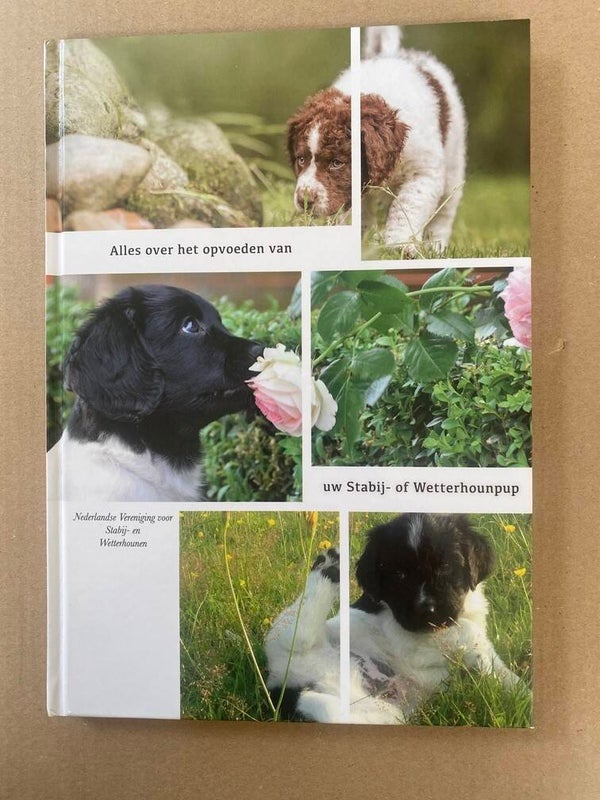 Handboek Opvoeden Stabij- of Wetterhoun Pup - NIEUW