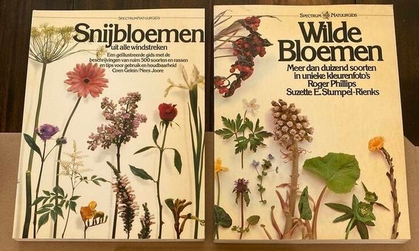 Specttrum Natuurgidsen - Snijbloemen - Wilde Bloemen