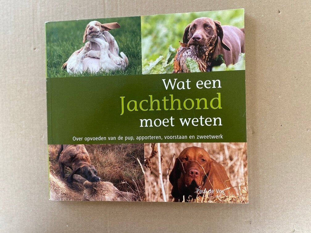 Jachthonden - Apporteren - Voorstaan - Zweetwerk