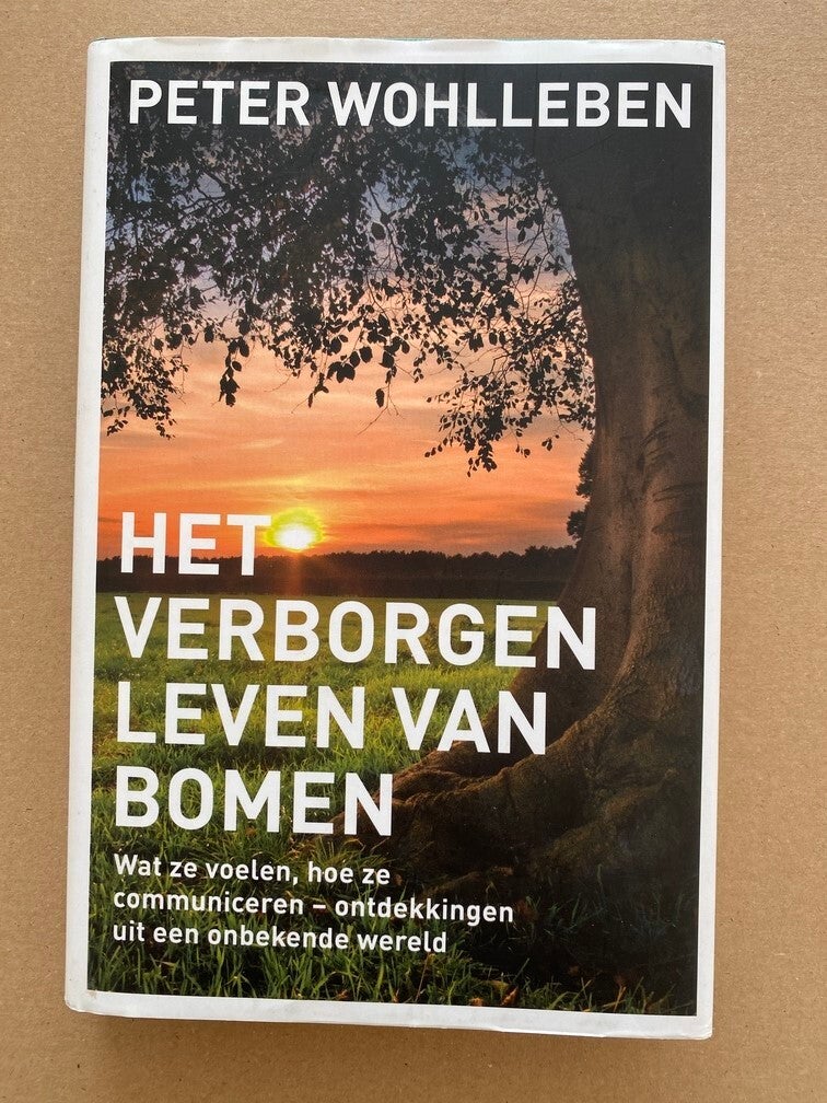 Het Verborgen Leven van Bomen  - Een schitterende wereld