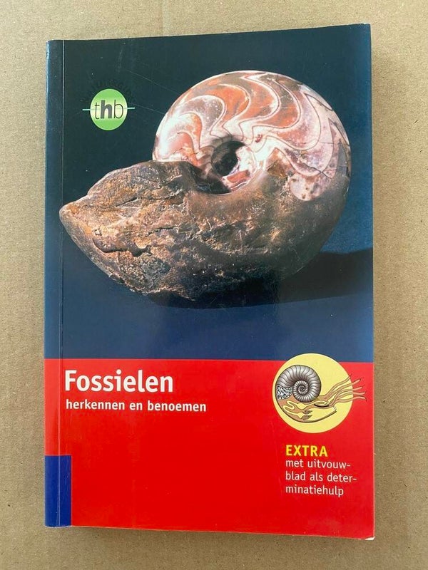 Fossielen Herkennen en Benoemen - 600 foto's en illustraties