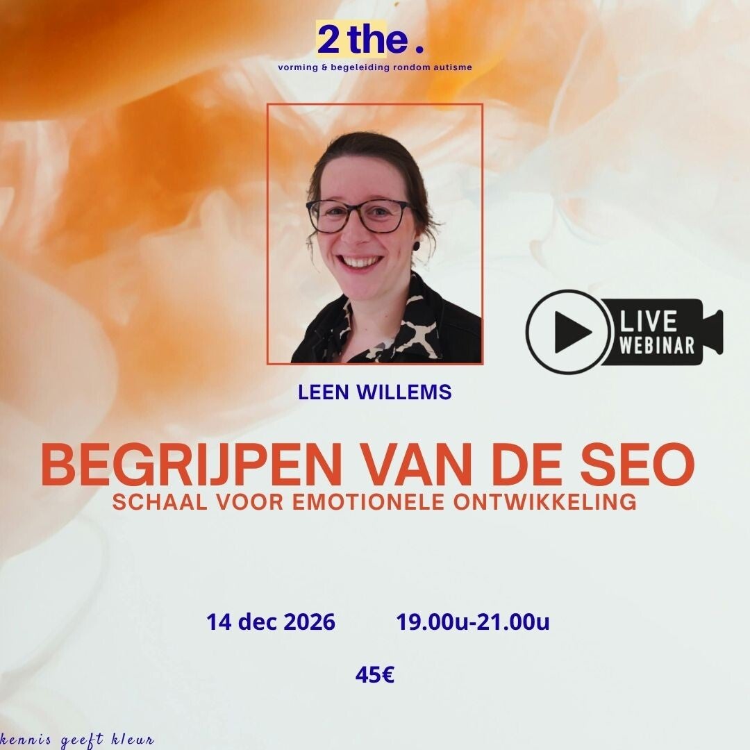 BEGRIJPEN VAN DE SEO