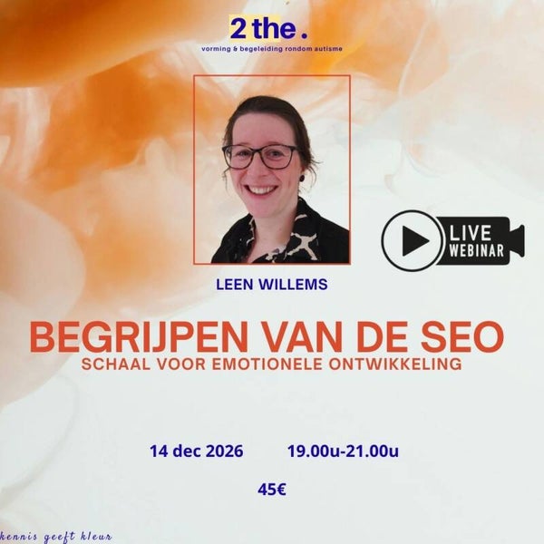BEGRIJPEN VAN DE SEO