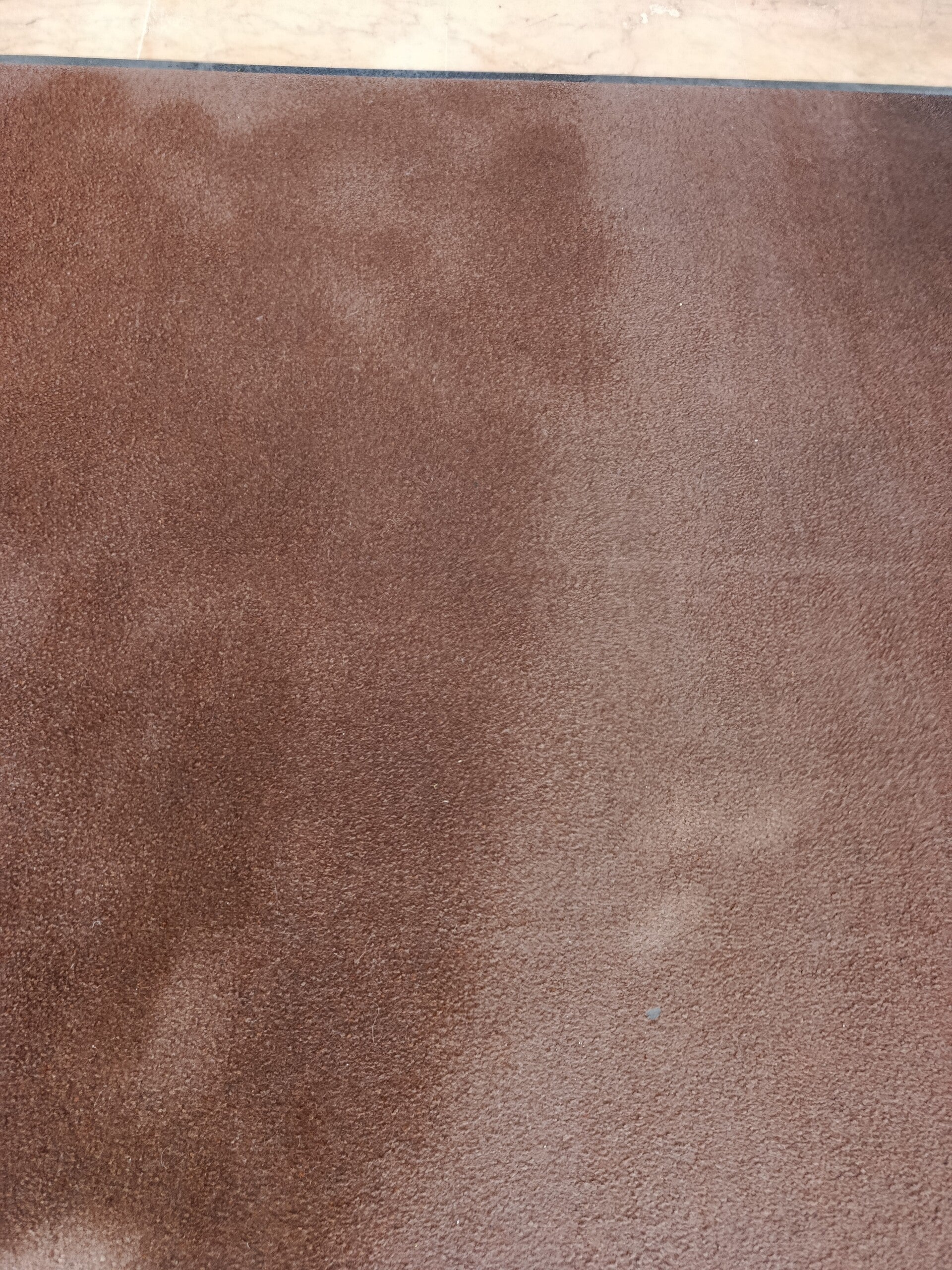 1000023739-standard-l566fz.jpg