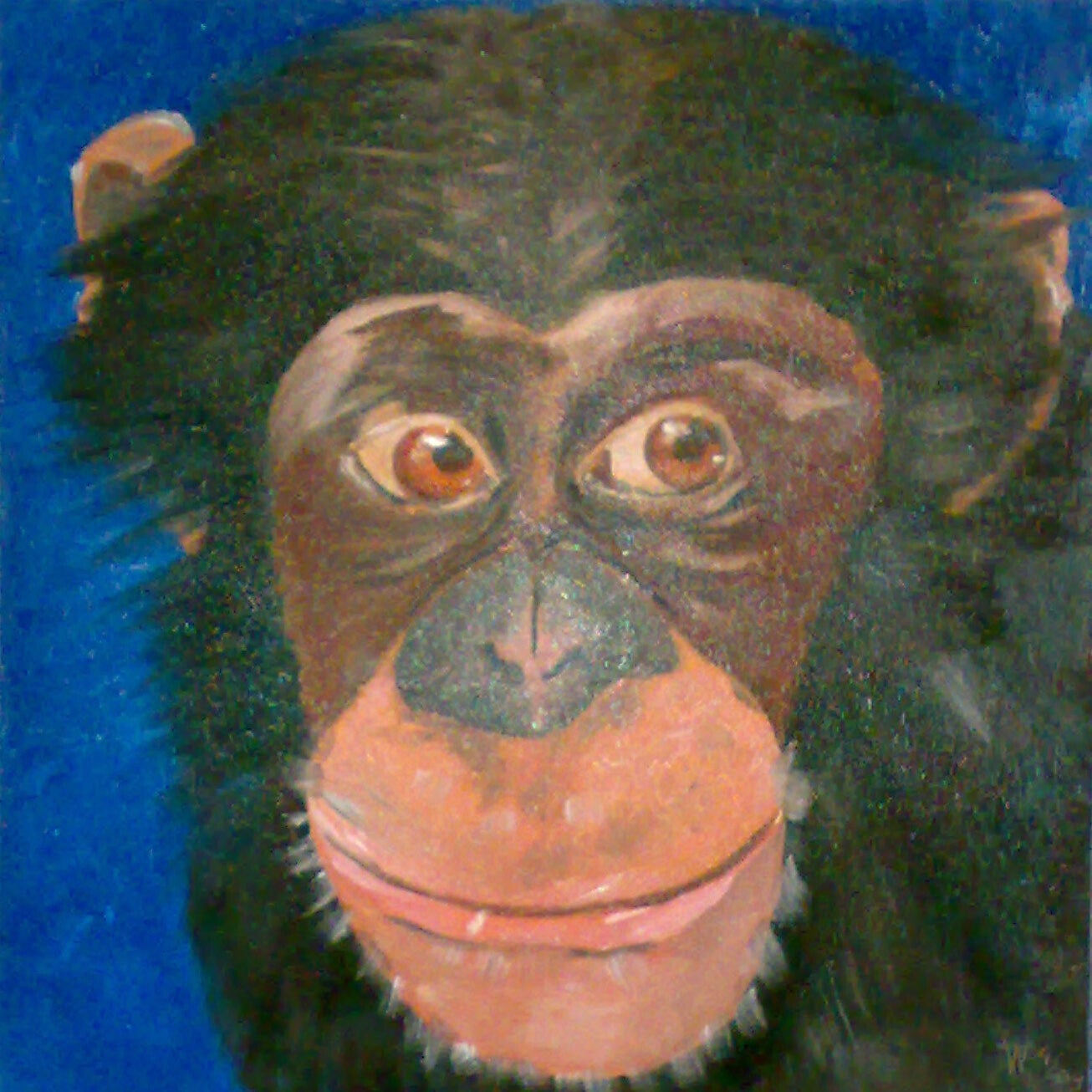 070920101638_edited-kopie-standard.jpg