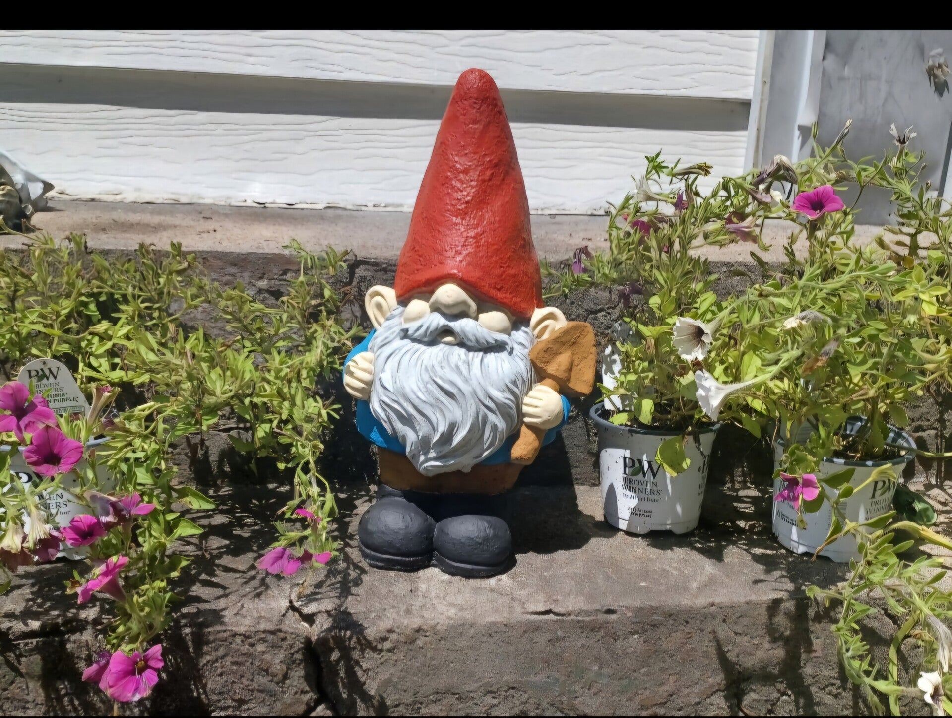 Gnome