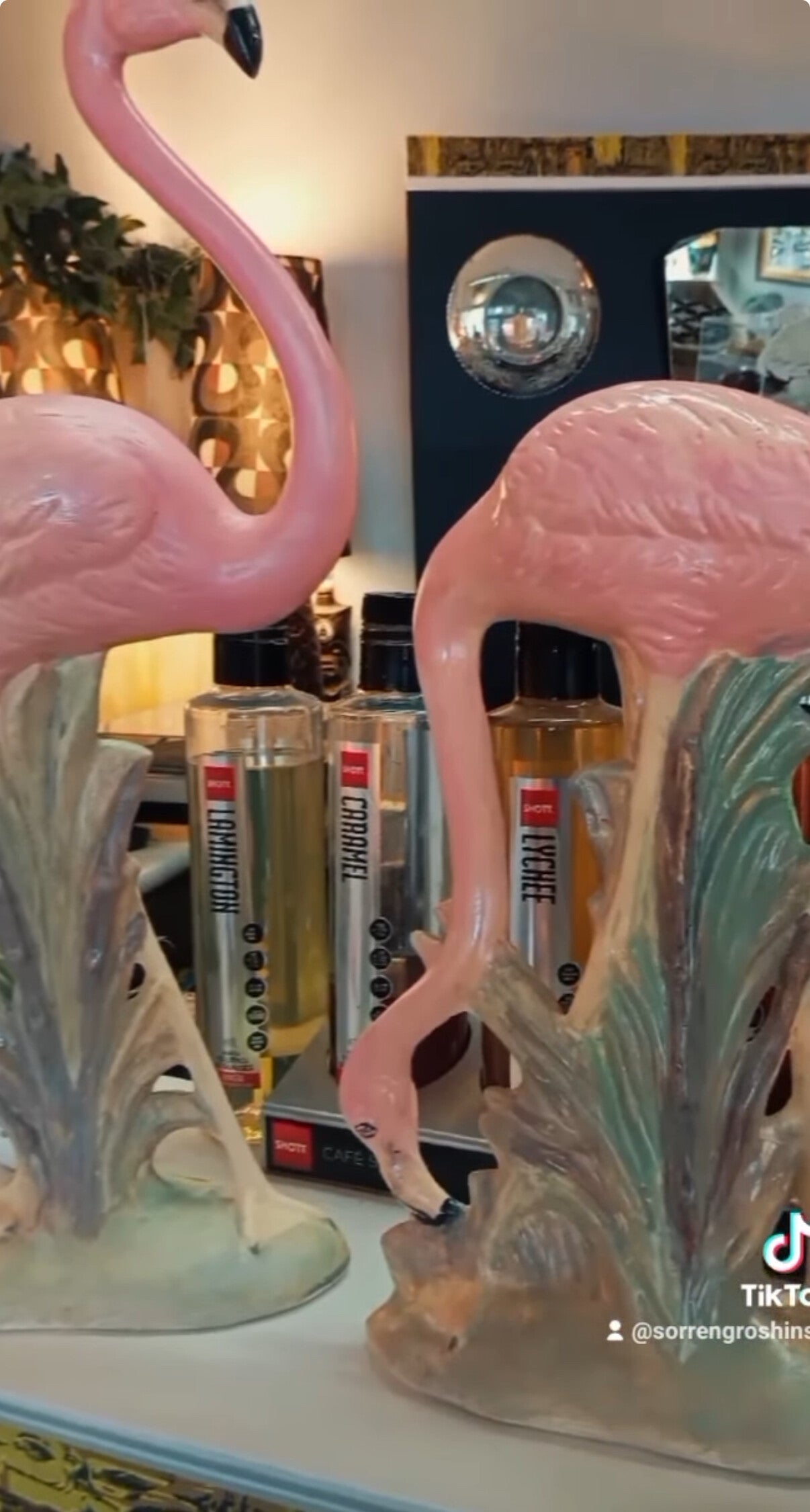 Pink Flamingos