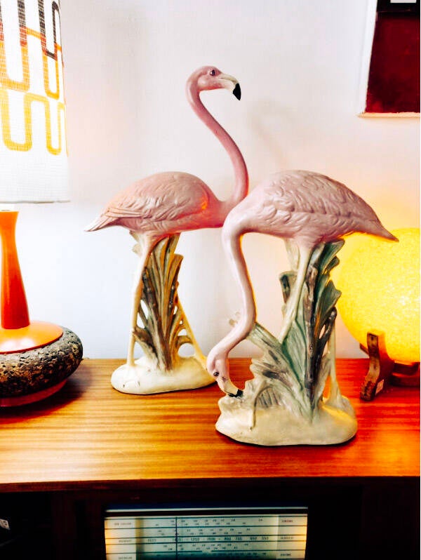 Pink Flamingos