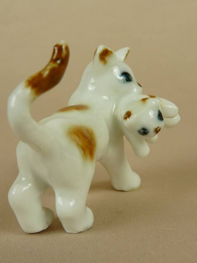 46324.jpg
