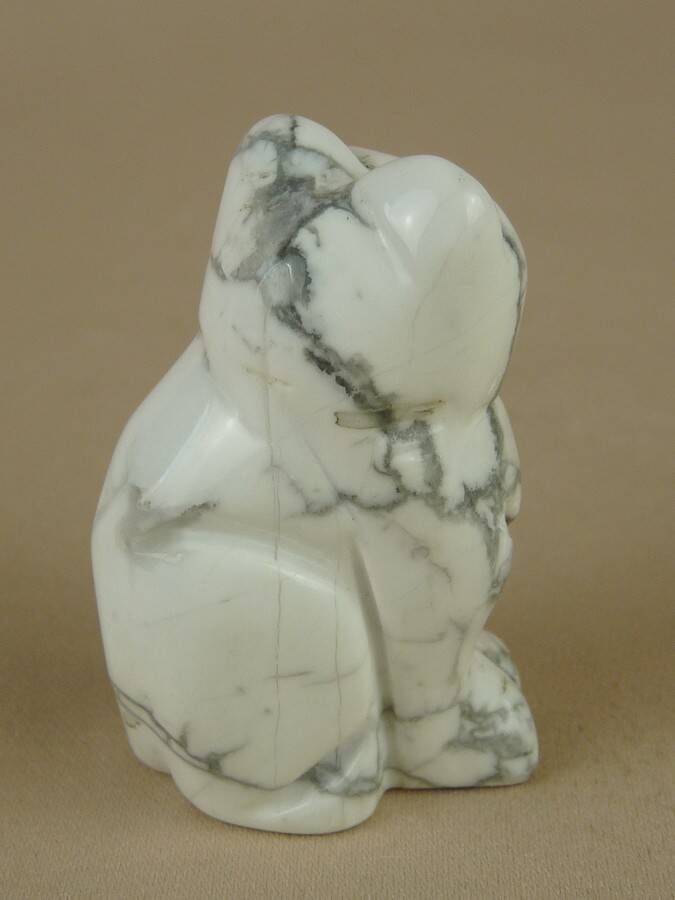 56034.jpg