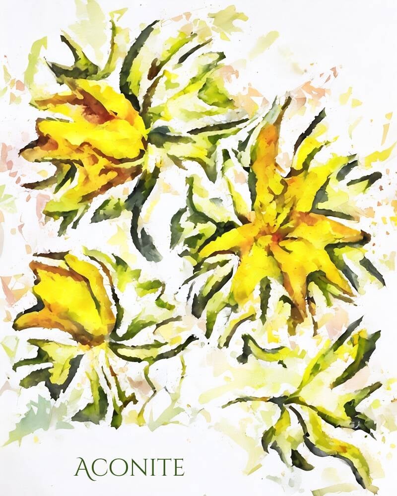 aconite-standard-ad59kj.jpg