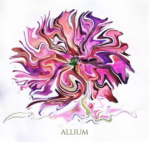 allium512-standard-gev9bl.jpg
