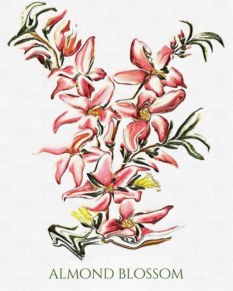 almond-blossom-standard-qplab1.jpg