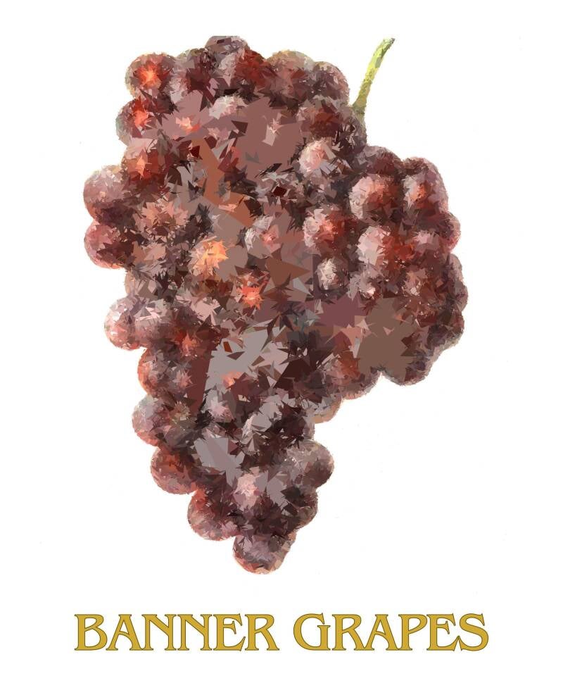banner-grapes-1-standard-eez4ao.jpg