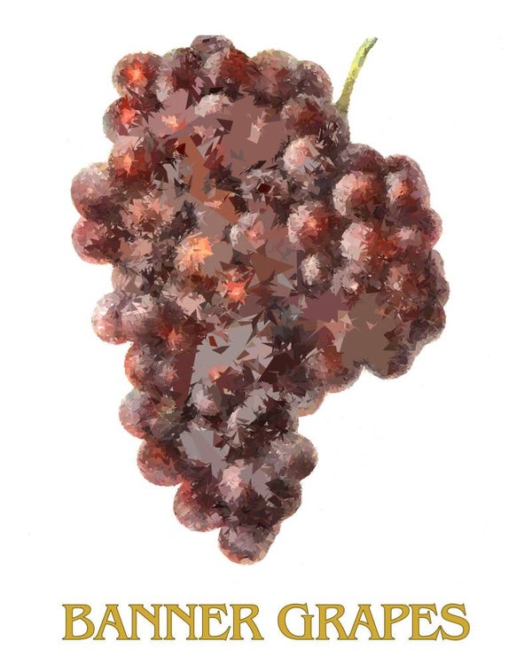 "Banner Grapes" Vintage Fruit Print Redesigned - Two Sizes