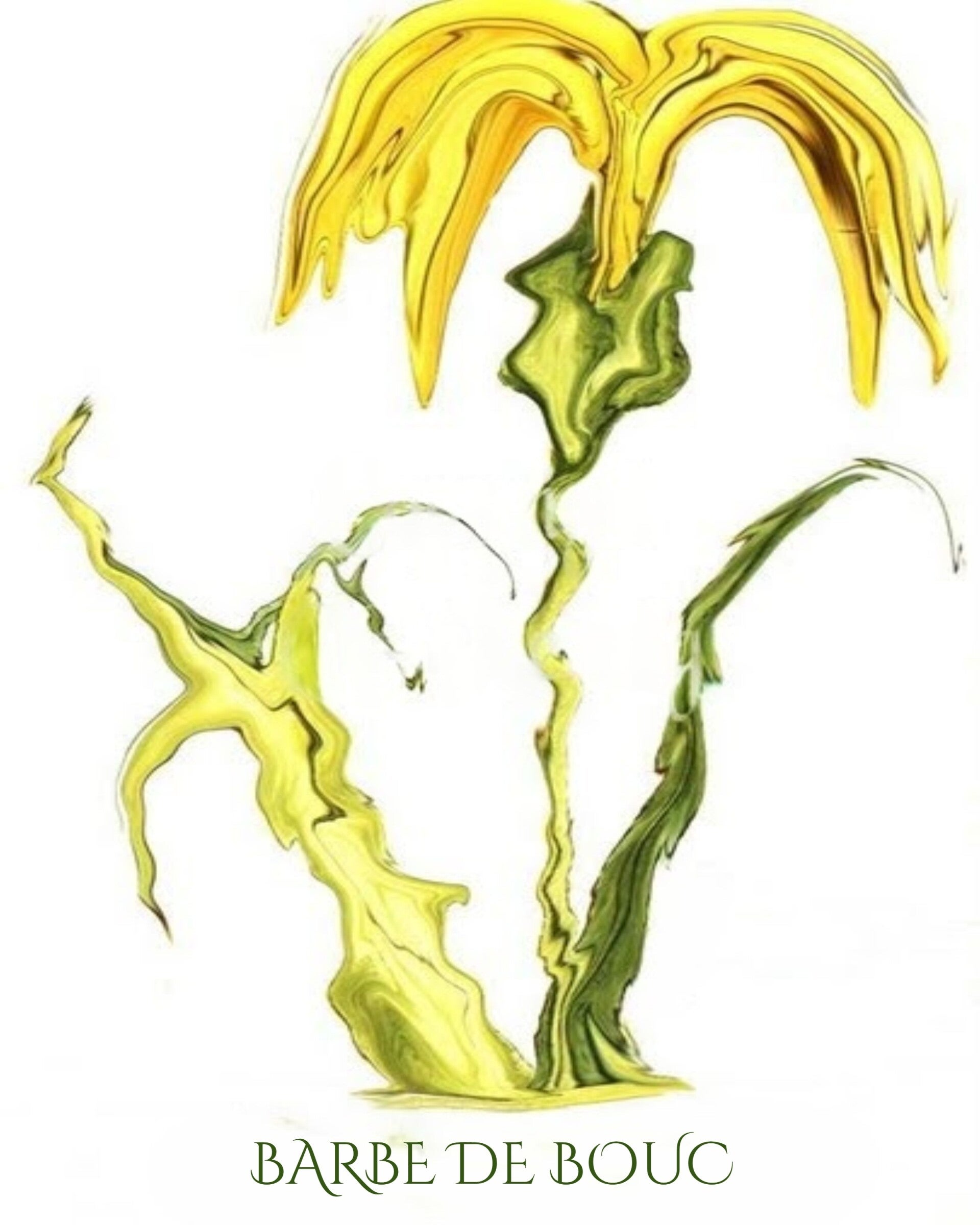 "Barbe de Bouc" Unique Botanical Design Digital Watercolor Art Print
