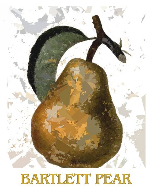 "Bartlett Pear" Vintage Fruit Print Redesigned - Two Sizes