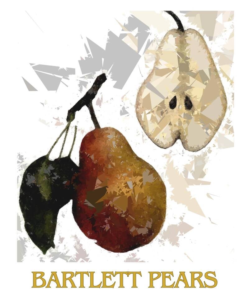 bartlett-pears-1-standard-tbnv8f.jpg