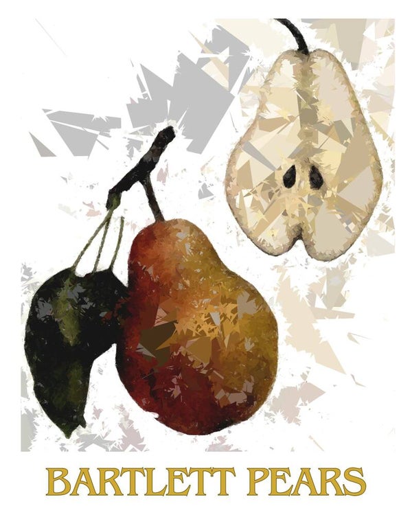 "Bartlett Pears" Vintage Fruit Print Redesigned - Two Sizes