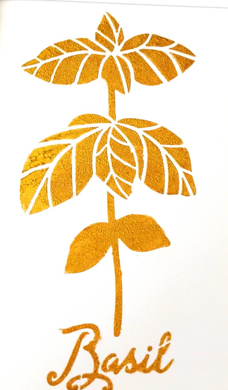 basil-standard-lonhjv.jpg