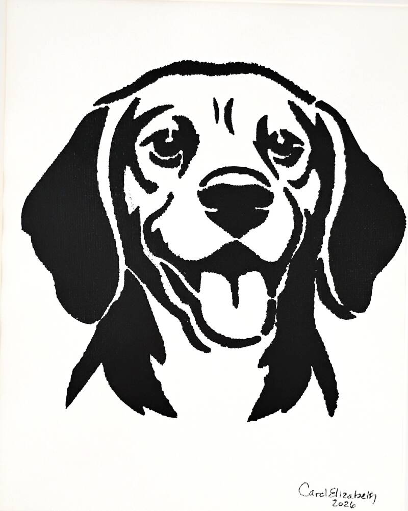 beagle-large-black-standard-lsed6c.jpg