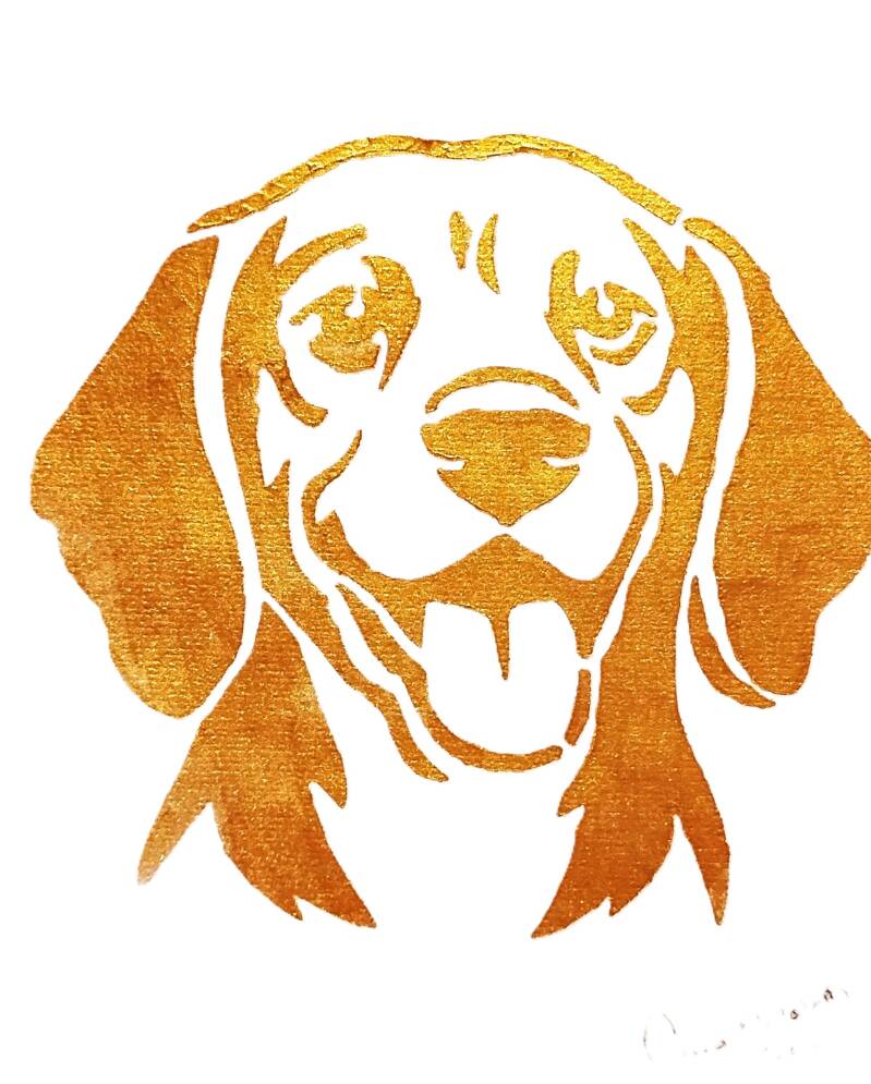 beagle-standard-ba0yuf.jpg