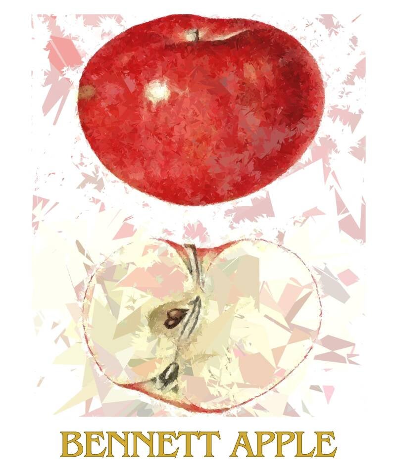bennett-apple-1-standard-dy8woz.jpg