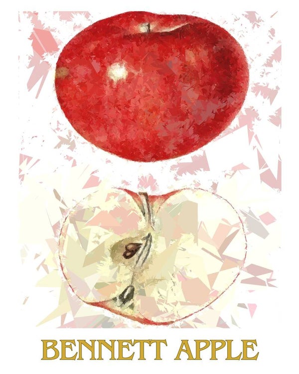"Bennett Apple" Vintage Fruit Print Redesigned - Two Sizes