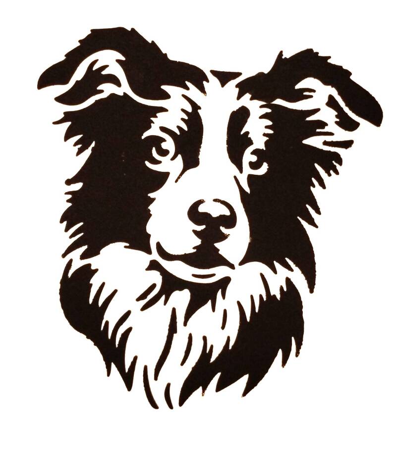 border-collie-large-black-primary-standard-1zep2o.jpg