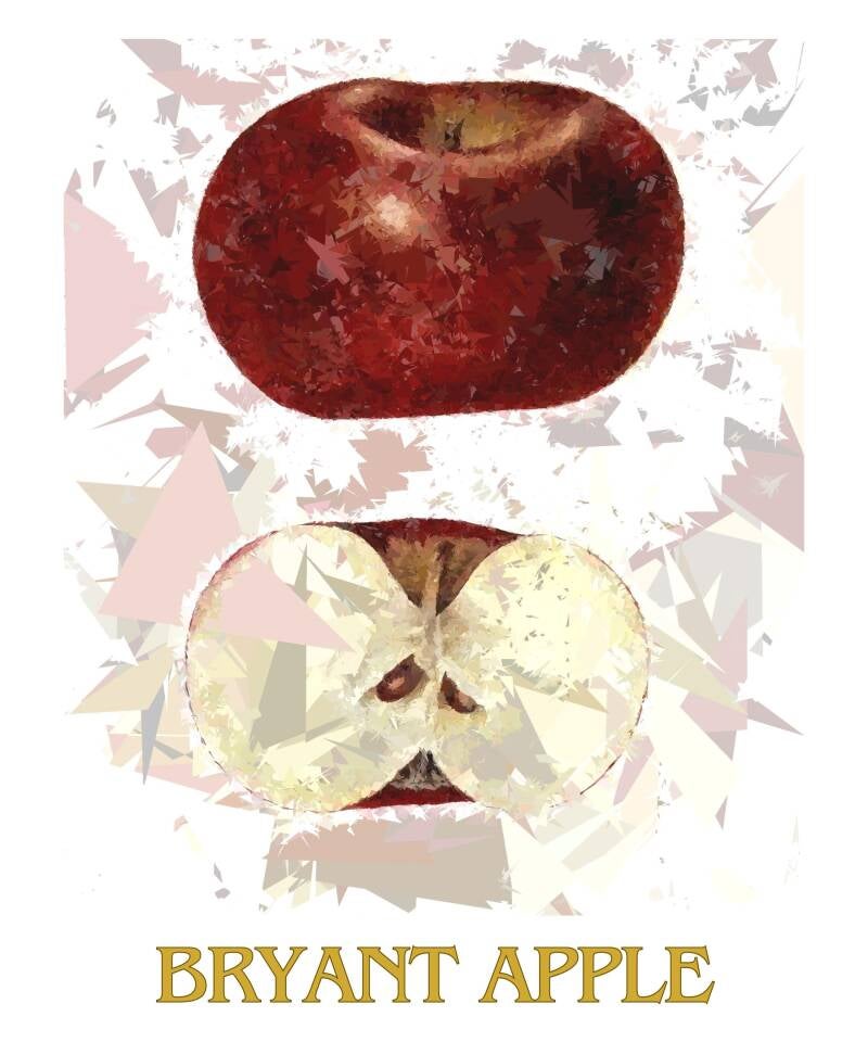 bryant-apple-1-standard-9hcrxe.jpg