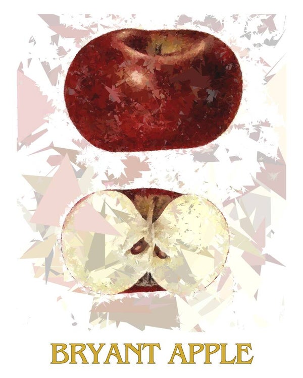 "Bryant Apple" Vintage Fruit Print Redesigned - Two Sizes